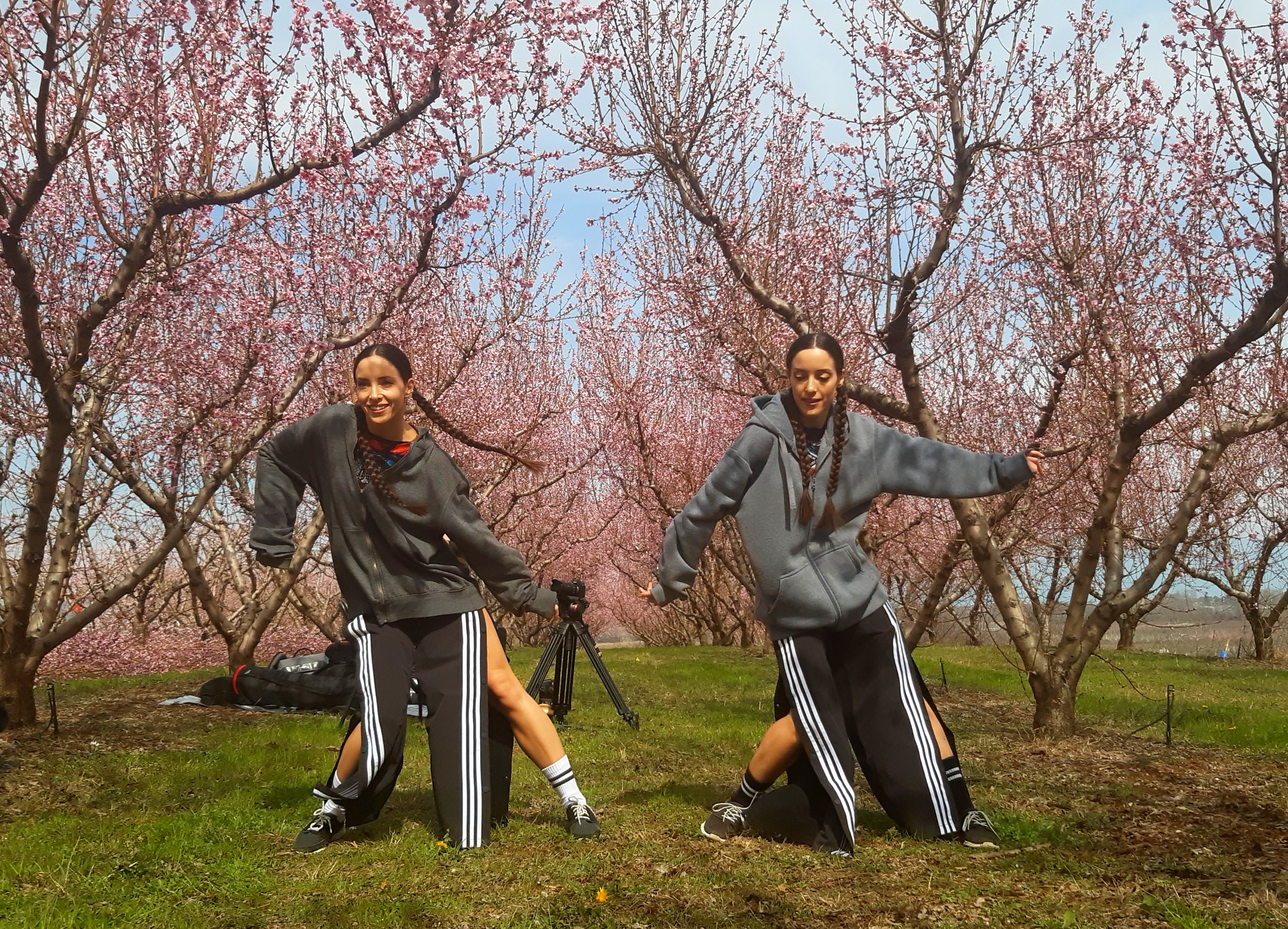 Odoo • A picture with a caption